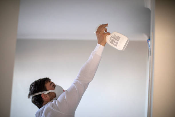 Best Health and Safety Mold Remediation in Redwood, TX