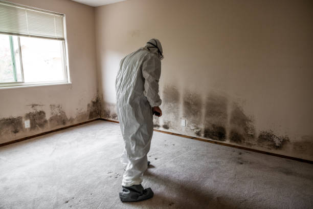 Best Mold Remediation for Specific Building Types in Redwood, TX
