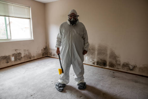 Best Residential Mold Remediation in Redwood, TX